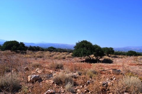 41865m² Land in Rethymno, Greece No. 57060 7