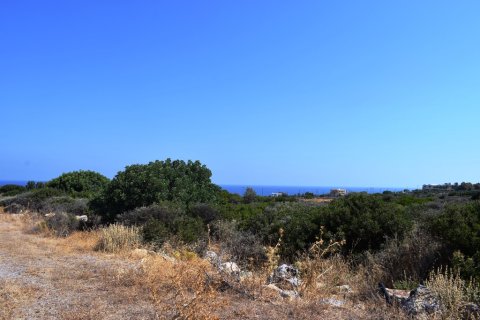 41865m² Land in Rethymno, Greece No. 57060 9