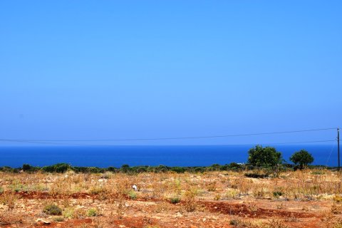 41865m² Land en Rethymno, Greece No. 57060 15