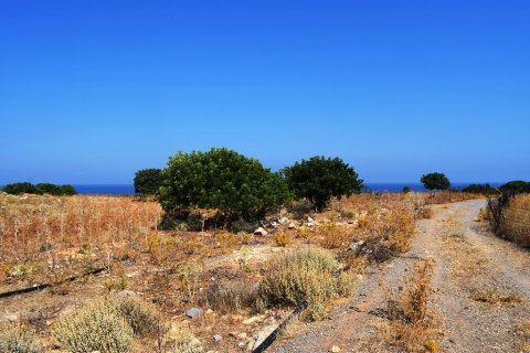 41865m² Land in Rethymno, Greece No. 57060 5