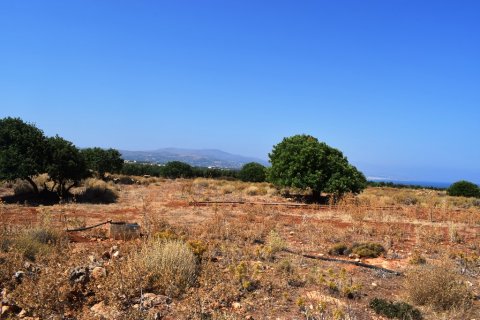 41865m² Land in Rethymno, Greece No. 57060 3