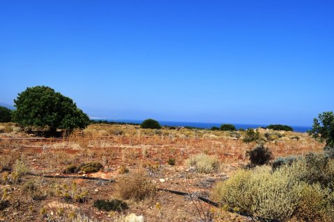 41865m² Land à Rethymno, Greece No. 57060 6