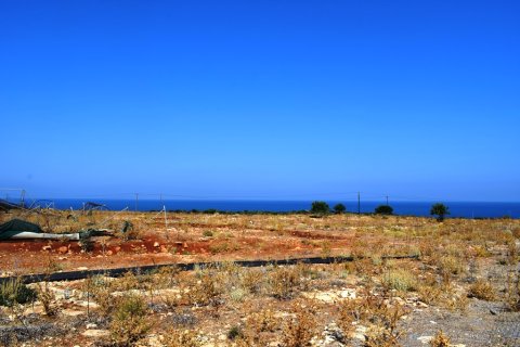 41865m² Land in Rethymno, Greece No. 57060 14