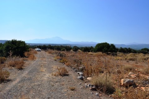 41865m² Land en Rethymno, Greece No. 57060 17