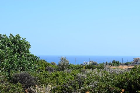 41865m² Land en Rethymno, Greece No. 57060 11