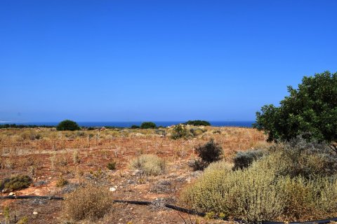 41865m² Land en Rethymno, Greece No. 57060 4