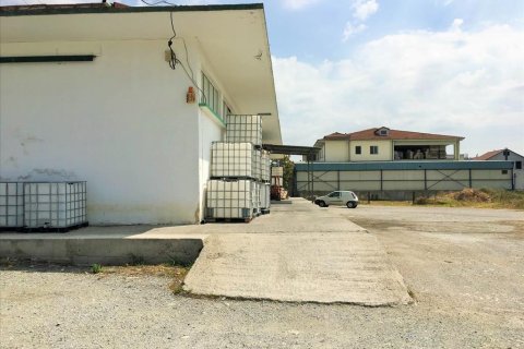 1770m² Business in Stavroupoli, Greece No. 57055 6