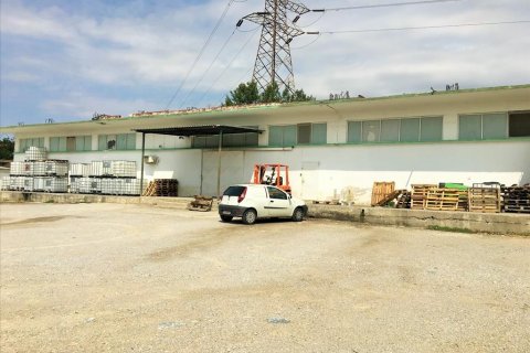 1770m² Business in Stavroupoli, Greece No. 57055 7