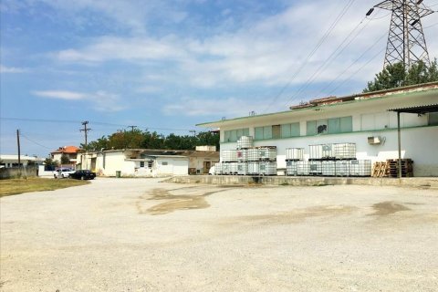 1770m² Business in Stavroupoli, Greece No. 57055 10