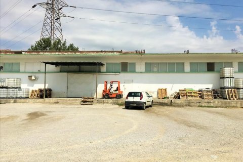 1770m² Business in Stavroupoli, Greece No. 57055 2