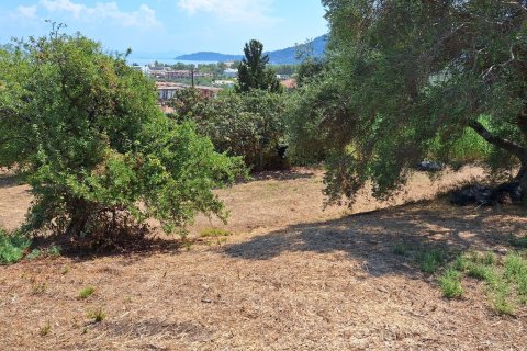 12000m² Land à Corfu, Greece No. 54187 10