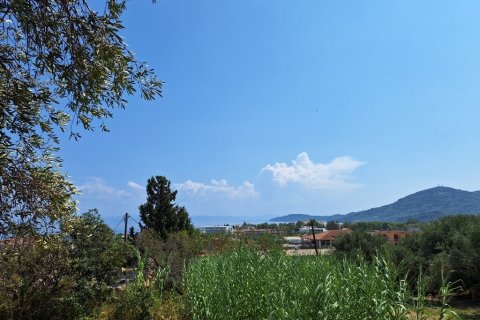 12000m² Land in Corfu, Greece No. 54187 14