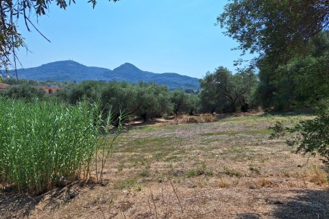 12000m² Land à Corfu, Greece No. 54187 6