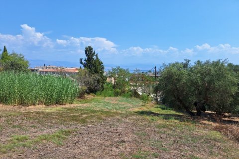 12000m² Land in Corfu, Greece No. 54187 7