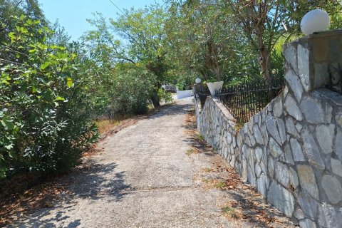 12000m² Land in Corfu, Greece No. 54187 15