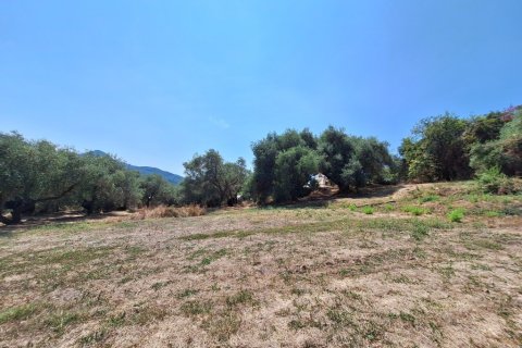 12000m² Land in Corfu, Greece No. 54187 4