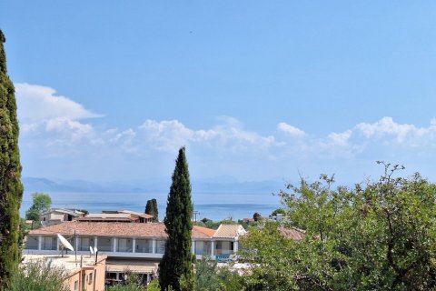 12000m² Land in Corfu, Greece No. 54187 3