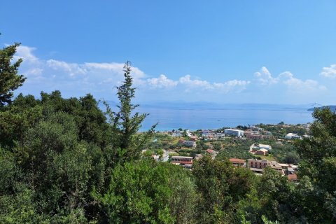 12000m² Land in Corfu, Greece No. 54187 1