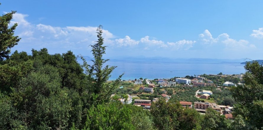 12000m² Land en Corfu, Greece No. 54187