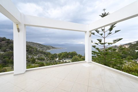 4 bedrooms House in Solygeia, Greece No. 54188 17