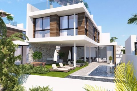 4 dormitorios Villa en Protaras, Cyprus No. 36744 2