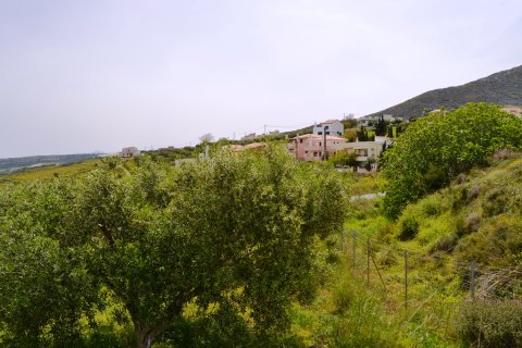 2900m² Land en Heraklion, Greece No. 57377 3