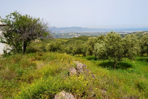 2900m² Land en Heraklion, Greece No. 57377 1