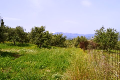 2900m² Land en Heraklion, Greece No. 57377 9