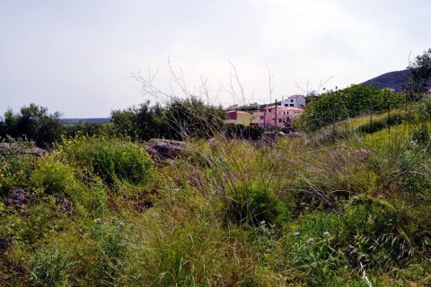 2900m² Land in Heraklion, Greece No. 57377 4