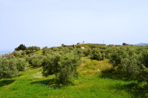 2900m² Land in Heraklion, Greece No. 57377 8