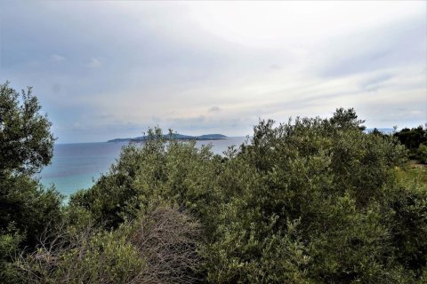 5000m² Land in Corfu, Greece No. 57373 6