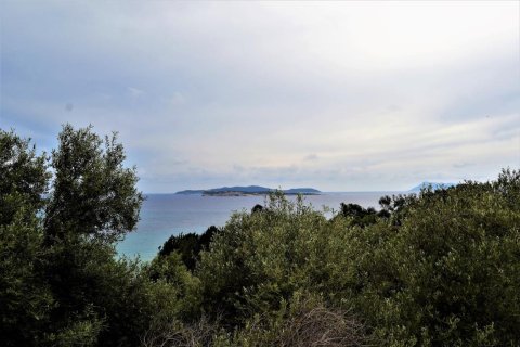 5000m² Land en Corfu, Greece No. 57373 1