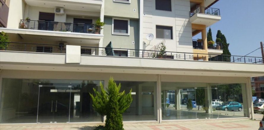 420m² Commercial property en Pieria, Greece No. 49113