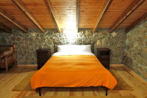 4 dormitorios Hotel en Peloponnese, Greece No. 49117 8