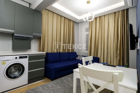 12+5 Villa in Istanbul, Turkey No. 14206 5