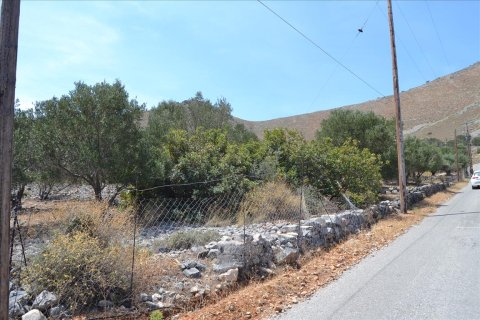 5850m² Land in Agios Nikolaos, Greece No. 59187 4