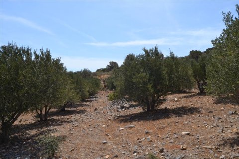 5850m² Land in Agios Nikolaos, Greece No. 59187 2