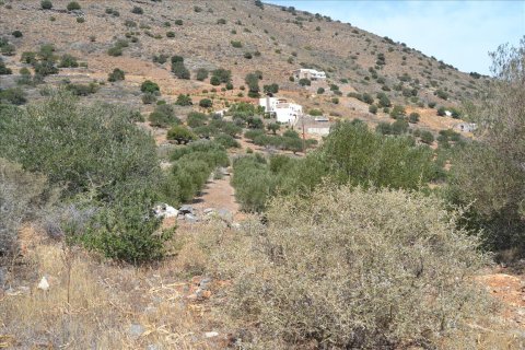 5850m² Land in Agios Nikolaos, Greece No. 59187 3