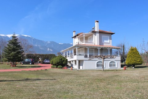 5 dormitorios Villa en Pieria, Greece No. 55655 9