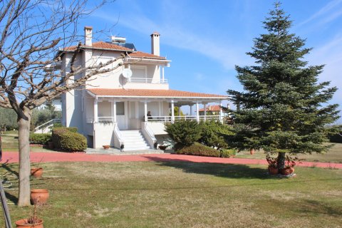 5 dormitorios Villa en Pieria, Greece No. 55655 7