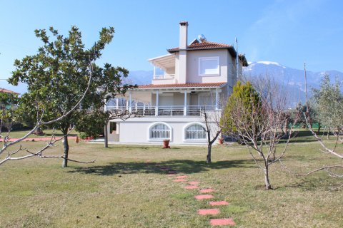 5 dormitorios Villa en Pieria, Greece No. 55655 10