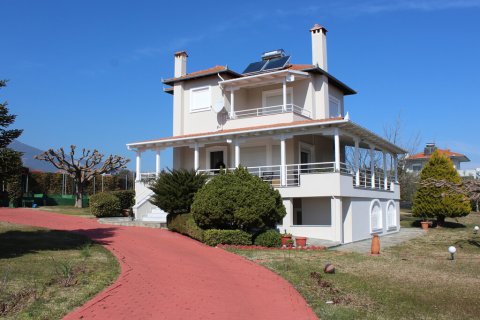 5 dormitorios Villa en Pieria, Greece No. 55655 11