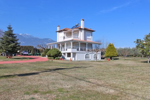 5 dormitorios Villa en Pieria, Greece No. 55655 3