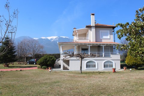 5 bedrooms Villa in Pieria, Greece No. 55655 12