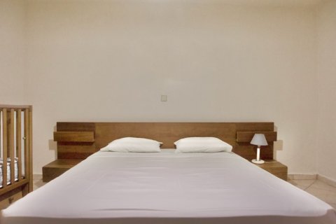 450m² Hotel en Chalkidiki, Greece No. 55809 14