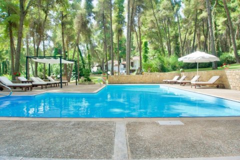 450m² Hotel à Chalkidiki, Greece No. 55809 11