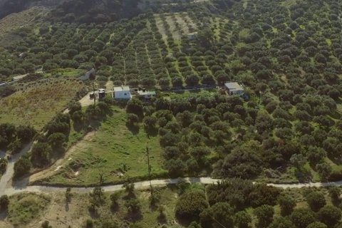 4100m² Land in Sitia, Greece No. 55808 2