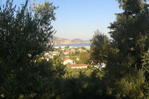 Land in Zakynthos, Greece No. 24668 18