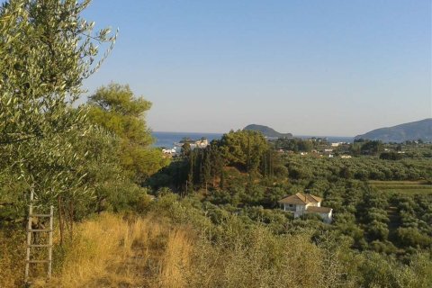 Land in Zakynthos, Greece No. 24668 19