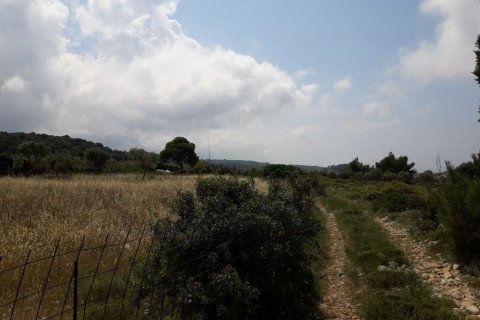 Land in Zakynthos, Greece No. 24666 5